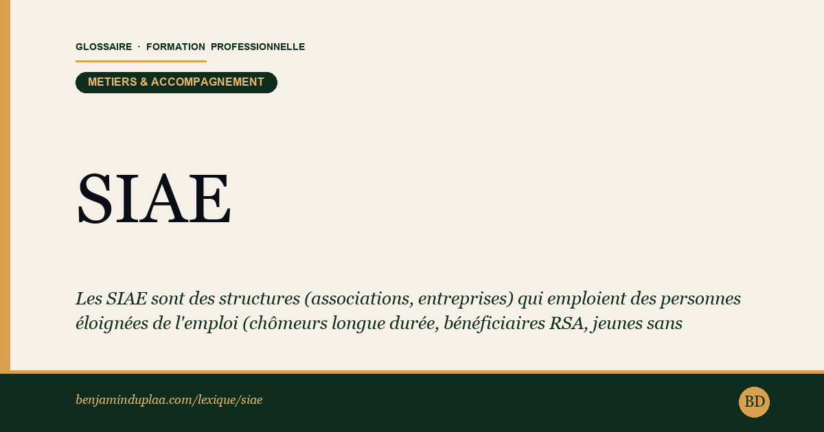 SIAE — Structure d'Insertion par l'Activité Économique — Définition illustrée du glossaire de la formation professionnelle (catégorie Métiers & accompagnement) par Benjamin Duplaa, directeur IFPA Poitiers
